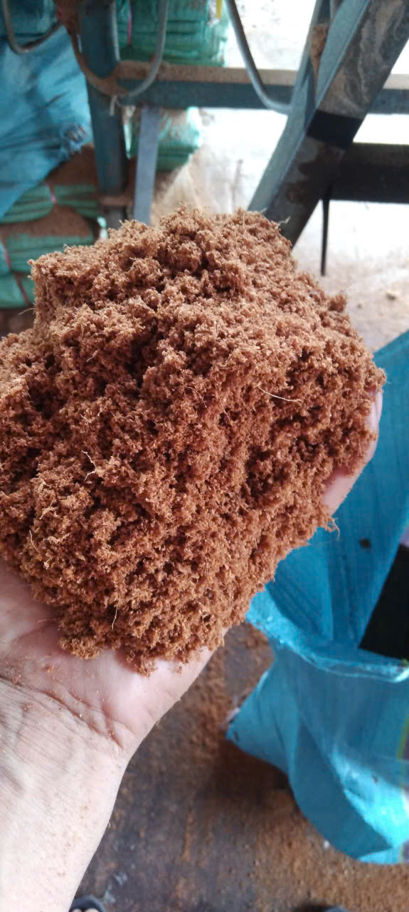 Mụn dừa đã xử lý